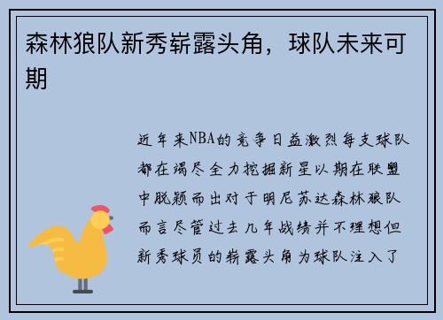 森林狼队新秀崭露头角，球队未来可期